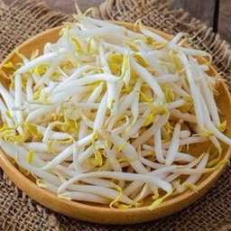 (D)-ถั่วงอก