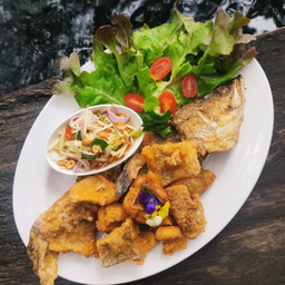 ปลากระพงทอด  (1 ตัว)