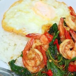 ข้าวราดกะเพรากุ้ง