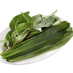 โหระพา + ผักชีฝรั่ง | Sweet Basil + Parsley