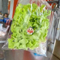 ผักสลัด (กรีนโอ๊ค)