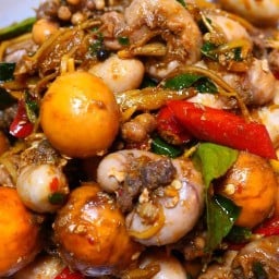 อ๋อยครัวอาหารป่า&อาหารตามสั่ง - ถนน30กันยา
