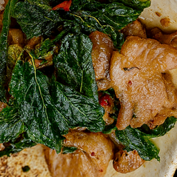 (กับข้าว) กะเพราหมูนุ่ม (Sharing Dish) Marinated Pork Kaprow