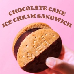 Chocolate Cake Ice Cream Sandwich (vegan)