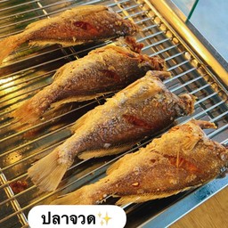 ปลาจวด ( 1 ตัว )