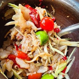 ตำแมงกระพรุน