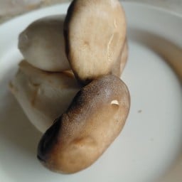 ชาผลไม้นายจันทร์