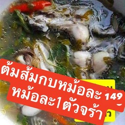 ต้มส้มกบ หม้อ1ตัว