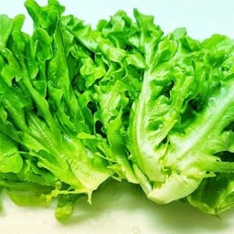 กรีนโอ๊คสดใหม่จากฟาร์มทุกวัน จำนวน2หัว ประมาณ 250-320กรัม