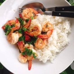 ผัดกระเพรากุ้งราดข้าว