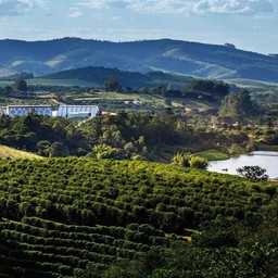 1 Kg Fazenda Rio Verde, Brazil