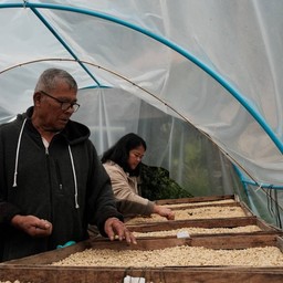 150g Black Honey - Thailand