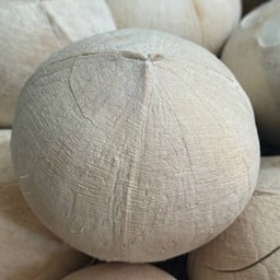 มะพร้าวน้ำหอมเผา