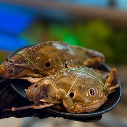 ปูดาวนึ่ง 5-7ตัวโล ครึ่งโล พร้อมน้ำจิ้มซีฟู้ด ของสดใหม่