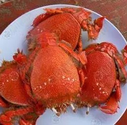 ปูจักจั่นนึ่ง 4-7ตัวโล 1กก. พร้อมน้ำจิ้มซีฟู้ด ของสดใหม่