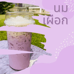 นมเผือก