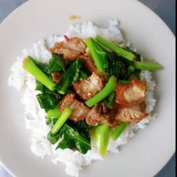 ข้าวคะน้าหมูกรอบ
