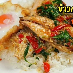 กระเพราปลาทู