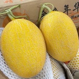 กิมเล้ง ทุเรียนพรีเมียม กิมเล้ง ทุเรียนพรีเมียม