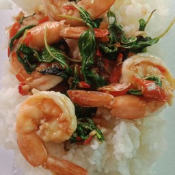 กระเพรากุ้ง ราดข้าว