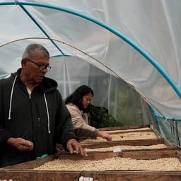 200g Black Honey - Thailand