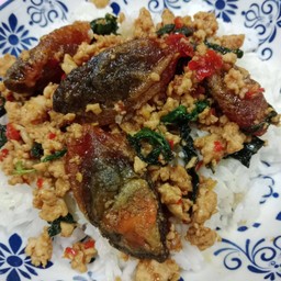 ข้าว กะเพราไข่เยี่ยวม้า