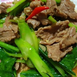 ผัดคะน้าเนื้อน้ำมันหอยราดข้าว