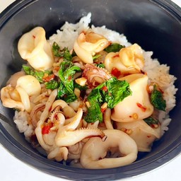 ข้าวราดกะเพราปลาหมึก