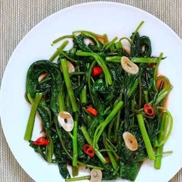 ผักบุ้งไฟแดง