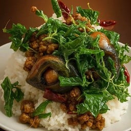 กระเพราไข่เยี่ยวม้าหมูสับ