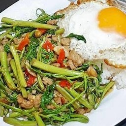 ผัดผักกระเฉด