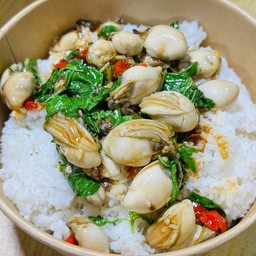 กะเพราหอยนางรม  ราดข้าว