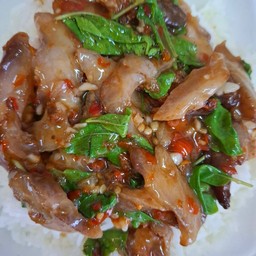 ข้าวกะเพราคอหมูย่างพิเศษ