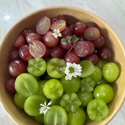 องุ่นไซมัส+ องุ่นแดง