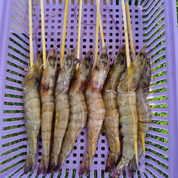 กุ้ง