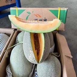 แตงทิเบต หวานฉ่ำ พร้อมทาน