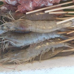 กุ้ง