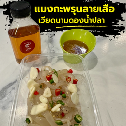แมงกะพรุนลายเสือเวียดนามดองน้ำปลา
