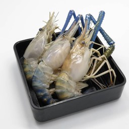 กุ้งแม่น้ำ 3 ตัว