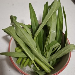 ผักบุ้ง