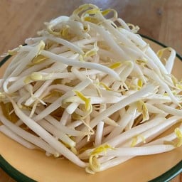 ถั่วงอกสด