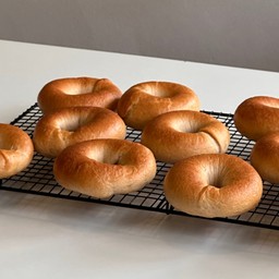 Bagel