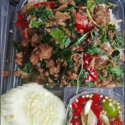 กะเพราหมูสับราดข้าว