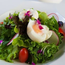 สลัดไข่ออนเซ็น