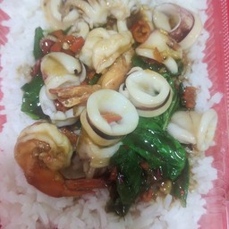 กระเพราทะเล