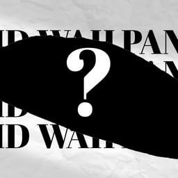 [ปัง 9 นิ้ว] ไก่เทอริยากิ + แฮมไก่