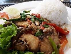 ข้าวราดกระเพราเนื้อปลา