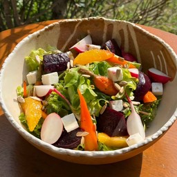 Roots Salad