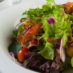 สลัดหอยเชลล์