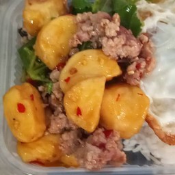 กระเพาเต้าหู้หมูสับราดข้าว